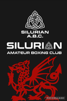 Silurian A.B.C