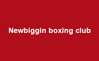 Newbiggin boxing club