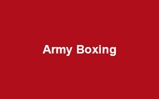 Army Boxing