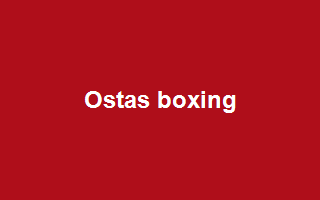 Ostas Boxing